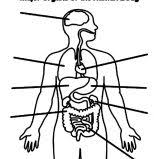 These are so much fun! Man And Woman Human Body Coloring Pages Coloring Sky