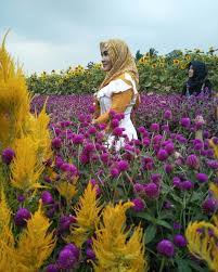 Check spelling or type a new query. Pesona Taman Bunga Kadung Hejo Di Pandeglang Backpacker Jakarta