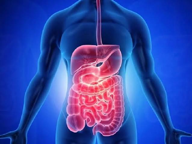Nghiên cứu mới phát hiện ruột, gan mỗi người là hoàn toàn khác nhau