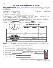 It consists of just a few. Protein Synthesis Virtual Lab Pdf Name Period Date Dna Replication Protein Synthesis Virtual Lab Sheet Part 1 Dna Replication Click The Following Course Hero
