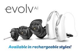 Screenshot of Evolv AI