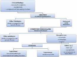 Flow Chart Of Diagnosis And Therapy Download Scientific