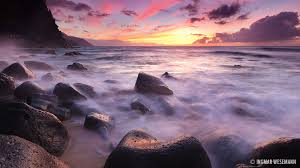 A nature-based solutions approach to managing shrimp aquaculture effluent