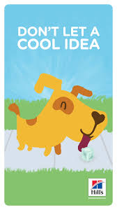 Can Dogs Get Brain Freeze Hill S Pet Video Video Brain Freeze Dog Care Cute Dog Pictures