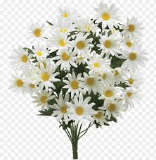 Just like lilies, roses are a very common and appropriate funeral flower, and each color rose has a slightly different connotation. 68 Images About Tumblr Flower Png On We Heart It Sympathy Funeral Flowers Png Image With Transparent Background Toppng