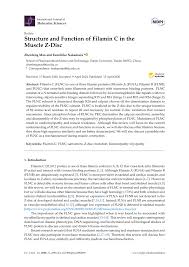 Check spelling or type a new query. Pdf Structure And Function Of Filamin C In The Muscle Z Disc