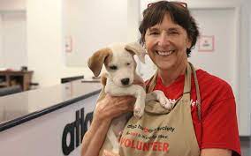 Maybe you would like to learn more about one of these? Boehringer Ingelheim Funds Georgia Pet Adoption Center Today S Veterinary Business