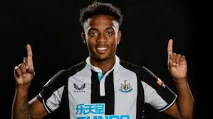 View newcastle united fc squad and player information on the official website of the premier league. Hmlmtekjhiqgqm