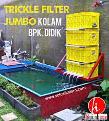 Namun, bukan hanya manusia saja lho yang butuh air bersih. Cara Membuat Filter Kolam Ikan Nila Tentang Kolam Kandang Ternak