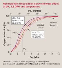 A blood transfusion is used to give you blood through an iv. Anaemia And Blood Transfusion Incorporating Patient Blood Management Sciencedirect