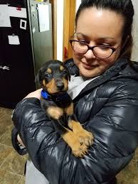 Our sweet baby girl, Marla, crossed the Rainbow Bridge today. We are so  luckly to have her choose us. She was the best dog we could have ever asked  for. She will