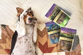 Two day pet lifestyle and education conference. Pets Global To Reveal Zignature Line Extension At Global Pet Expo 2020 02 20 Pet Food Processing