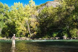 The range of orvis fly fishing reels. Fly Fishing 101 Duranglers Fly Fishing Shop Guides