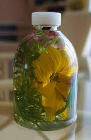 We did not find results for: What Can Be Used To Preserve Flowers In A Bottle Jar Quora