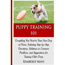 Learn the basics training of puppy training 101 including house training, crate training, leash in this unique puppy training 101 online video course, you will get to learn all the basics and need to. Buy Puppy Training 101 Everything You Need To Train Your Dog At Home Including Step By Step Directions Solutions To Common Problems And Suggestions For Your Dog Puppy Training Books Volume 1 Paperback December