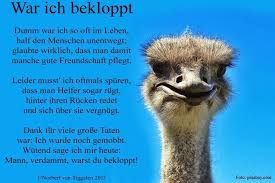 Spruche Und Zitate War Ich Bekloppt Dumm War Ich So Oft Im Leben Half Den Menschen Unentwegt Glaubte Wirklich Dass Man Damit Manche Gute Freundschaft Pflegt Leider Musst Ich Oftmals Spuren