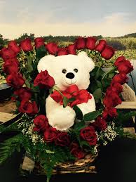 Paul/edina/wayzata and surrounding metro area. Rosas And Teddy Bear In Saint Paul Mn Hills Floral