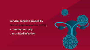 There are over 100 different types of. Five Facts About Cervical Cancer And How Unitaid Is Battling The Disease Unitaid