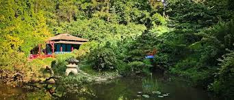 Gradina Botanica Alexandru Borza Din Cluj Cluj Napoca Places To Visit Landscape