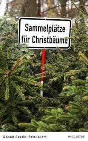 Seit wann weißt du es? Bielefeld Zu Welchen Terminen Werden Die Alten Weihnachtsbaume Abgeholt