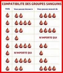 How's a person change his blood type? 38 Idees De Groupes Sanguins Groupe Sanguin Groupe Hematologie