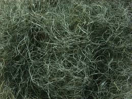 Horse hair for padding is for those artisans like saddle makers and upholsters that are familiar with traditional techniques, and have a demand for traditional upholstery, here is something that you can't go past. 100 Curl Horse Tail Hair Is Used For Padding