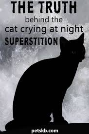 Fortunately, once the cause is identified. What Is The Cats Crying At Night Superstition Cats Crying Crying At Night Cat Crying