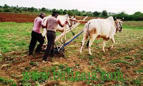 Image result for शेती व्यवसाय PROBLEM PHOTO