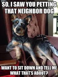 Some Dogs Don T Mind Sharing Attention And Some Dogs Not So Much But Do Dogs Actually Have The Ability To Funny Dogs Funny Animals Funny Animal Pictures