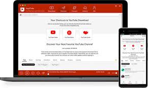 If you want to listen to only the audio from a particular file, one way is to convert that audio from the video int. Youtube Video Downloader Download Youtube Mp3 Mp4 Free Youtube Youtube Youtube Videos