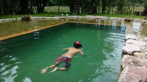 Schwimmteich Selber Bauen Natural Pool Organic Pool Selfbuild Youtube Schwimmteich Selber Bauen Naturschwimmbecken Schwimmteich