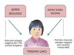 Berikah contoh budaya rakyat malaysia. Sosio Antropologi Kesehatan Ppt Download