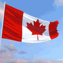 The canadian flag is a vertical bicolour triband with in the center a maple leaf. Canadian Flag Gifs Tenor