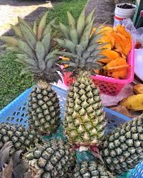 Not long after we arrived in antigua, we overheard a couple chatting about a species of pineapple grown on the island called the antigua black pineapple. 30 Best Things To Do In Antigua Beaches Heritage Food And More