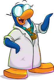 Register for prizerebel using a link or banner on this page. Drum Clipart Club Penguin Pinguim Do Club Penguin Png Download Full Size Clipart 5684116 Pinclipart