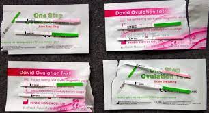 Die richtige anwendung und auswertung. Die Ultimative Anleitung Fur Ovulationstests Mynfp