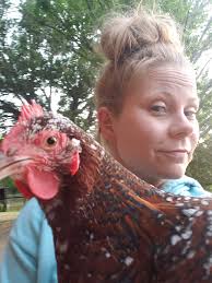 Chickens with attitude