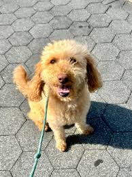 Photo posted by Anne Fitzpatrick Call (@annefitzcall)