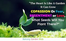 47 Beautiful Garden Quotes Balcony Garden Web