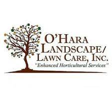 The vine's delicate flower blossoms and deep green leaves provide a pop of life and color, weaving across fences and walls with ease. O Hara Landscape Lawn Care Inc St Louis Mo Us 63132 Houzz
