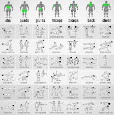 57 Prototypical Routine Exercise Chart For Gym