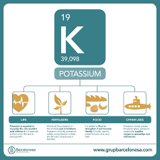نتیجه جستجوی لغت [potassium] در گوگل