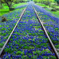 Obituary of Larry Lee Ackley