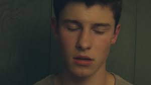 @ShawnMendes's video Tweet