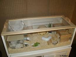 Ikea Billy Roborovski Hamster Cage Flickr Photo Sharing Mouse Cage Hamster Diy Hamster Habitat