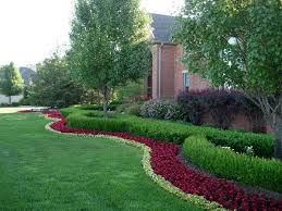 Interesting Boxwood Shrubs Contemporary Landscaping Ideas Grass Best 14 Boxwood Shrubs Landscapi Easy Backyard Landscaping Hedges Landscaping Easy Landscaping