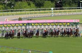 競馬予想tv!（けいばよそうティーヴィー）は、cs放送「フジテレビone」および フジテレビの有料動画配信サービス「フジテレビ on demand」で放送されている競馬番組。 毎週スタジオに4人（gi開催時は5人）の競馬予想家を集め、原則日曜日に行われる重賞競走（gi開催. ã‚ªãƒ¼ã‚¯ã‚¹2020 äºˆæƒ³è¡€çµ±æƒ…å ± 3é€£å˜6ç‚¹å‹è²  3é€£å˜6ç‚¹å‹è²  ç«¶é¦¬ã§å¤¢ã‚'å¶ãˆã‚‹ 3é€£å˜ç«¶é¦¬äºˆæƒ³ã«å½¹ç«‹ã¤æƒ…å ±ãŒæº€è¼‰ã§ã™