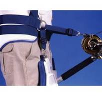 Braid Products Pro Manta Fighting Belt – Adjustable Velcro, Padded Backing,  Gimbal Ready – For Offshore Fishing (Fits Small-Large)
