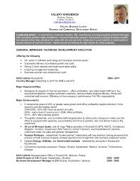 valery khrabrov resume c level