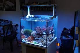 Xaqua Nano Reef Led Reef Aquarium Light Aquarium Lighting Led Aquarium Lighting Aquarium